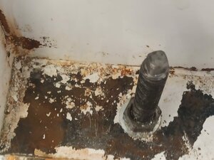 тут немного поработали пальцем (2424 просмотра) <a class='original' href='./download/file.php?id=199246&mode=view' target=_blank>Загрузить оригинал (205.72 КБ)</a>