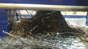 2021-03-14 18.55.03.jpg (12303 просмотра) <a class='original' href='./download/file.php?id=200103&mode=view' target=_blank>Загрузить оригинал (4.48 МБ)</a>