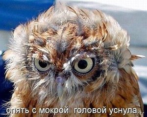 getImage (3).jpg (2730 просмотров) <a class='original' href='./download/file.php?id=20025&mode=view' target=_blank>Загрузить оригинал (59.52 КБ)</a>