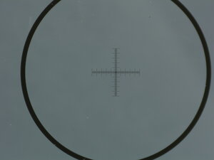 0004.JPG (4845 просмотров) <a class='original' href='./download/file.php?id=200268&mode=view' target=_blank>Загрузить оригинал (5.67 МБ)</a>