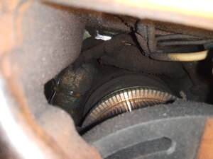 IMG_20211129_114544.jpg (3906 просмотров) <a class='original' href='./download/file.php?id=200588&mode=view' target=_blank>Загрузить оригинал (3.16 МБ)</a>