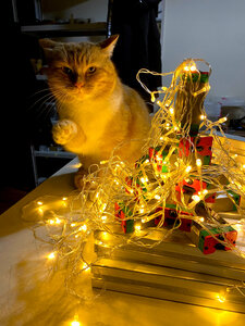 2021-12-30 21.16.47.jpg (735 просмотров) <a class='original' href='./download/file.php?id=200885&mode=view' target=_blank>Загрузить оригинал (1.28 МБ)</a>