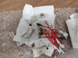 IMG_20220103_222409.jpg (898 просмотров) <a class='original' href='./download/file.php?id=200936&mode=view' target=_blank>Загрузить оригинал (1.17 МБ)</a>