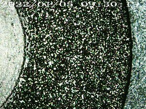 PIC199.JPG (743 просмотра) <a class='original' href='./download/file.php?id=200955&mode=view' target=_blank>Загрузить оригинал (136.5 КБ)</a>