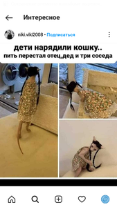 Screenshot_2022-01-27-01-43-32.png (2091 просмотр) <a class='original' href='./download/file.php?id=201370&mode=view' target=_blank>Загрузить оригинал (927.95 КБ)</a>