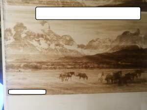 IMG-20220427-WA0006_1.jpg (3945 просмотров) <a class='original' href='./download/file.php?id=203104&mode=view' target=_blank>Загрузить оригинал (157.02 КБ)</a>