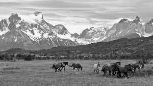 Казахстан1.jpg (3945 просмотров) <a class='original' href='./download/file.php?id=203105&mode=view' target=_blank>Загрузить оригинал (196.6 КБ)</a>