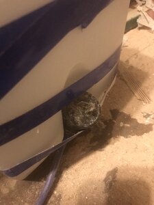 моторчик омывателя дворников (858 просмотров) <a class='original' href='./download/file.php?id=203976&mode=view' target=_blank>Загрузить оригинал (599.49 КБ)</a>