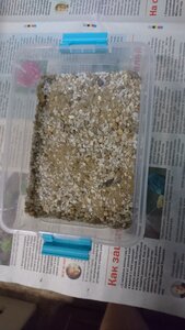 DSC_0199.JPG (2752 просмотра) <a class='original' href='./download/file.php?id=204077&mode=view' target=_blank>Загрузить оригинал (3.26 МБ)</a>