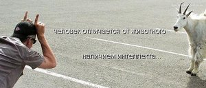 vv.jpg (2069 просмотров) <a class='original' href='./download/file.php?id=20487&mode=view' target=_blank>Загрузить оригинал (67.99 КБ)</a>