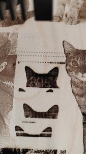 WhatsApp_Image_2022-10-24_at_18_00_05.jpg (1835 просмотров) <a class='original' href='./download/file.php?id=205296&mode=view' target=_blank>Загрузить оригинал (284.11 КБ)</a>