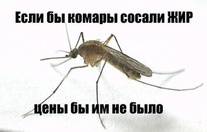 123.jpeg (2887 просмотров) <a class='original' href='./download/file.php?id=20674&mode=view' target=_blank>Загрузить оригинал (45.97 КБ)</a>