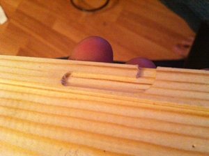 фото.JPG (2662 просмотра) <a class='original' href='./download/file.php?id=20686&mode=view' target=_blank>Загрузить оригинал (119.33 КБ)</a>