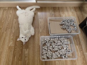 IMG_20230729_060350.jpg (4648 просмотров) <a class='original' href='./download/file.php?id=208469&mode=view' target=_blank>Загрузить оригинал (6.9 МБ)</a>