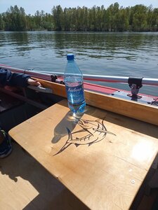 IMG_20230528_135316_514.jpg (2037 просмотров) <a class='original' href='./download/file.php?id=210356&mode=view' target=_blank>Загрузить оригинал (1.86 МБ)</a>