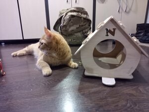 IMG_20231214_220039_793.jpg (2037 просмотров) <a class='original' href='./download/file.php?id=210362&mode=view' target=_blank>Загрузить оригинал (1.63 МБ)</a>