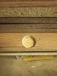 IMG_20240126_131730.jpg (1478 просмотров) <a class='original' href='./download/file.php?id=210632&mode=view' target=_blank>Загрузить оригинал (8.12 МБ)</a>