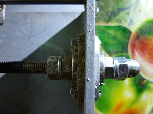 P1050545.JPG (12981 просмотр) <a class='original' href='./download/file.php?id=21102&mode=view' target=_blank>Загрузить оригинал (2.33 МБ)</a>