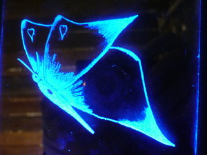 10х10 (4483 просмотра) <a class='original' href='./download/file.php?id=21131&mode=view' target=_blank>Загрузить оригинал (2.34 МБ)</a>