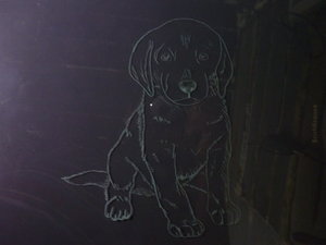 Стекло формата А4 (4483 просмотра) <a class='original' href='./download/file.php?id=21135&mode=view' target=_blank>Загрузить оригинал (2.22 МБ)</a>