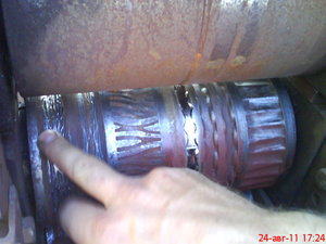 DSC00203.JPG (3091 просмотр) <a class='original' href='./download/file.php?id=21176&mode=view' target=_blank>Загрузить оригинал (194.71 КБ)</a>