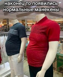 photo_2024-06-05_09-51-54.jpg (6084 просмотра) <a class='original' href='./download/file.php?id=212074&mode=view' target=_blank>Загрузить оригинал (68.11 КБ)</a>