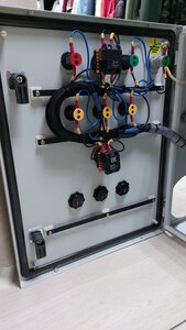 20240927_131439-1.jpg (1006 просмотров) <a class='original' href='./download/file.php?id=212550&mode=view' target=_blank>Загрузить оригинал (935.13 КБ)</a>