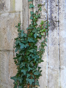 007.jpg (2265 просмотров) <a class='original' href='./download/file.php?id=21277&mode=view' target=_blank>Загрузить оригинал (114.39 КБ)</a>