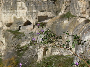 005.jpg (2265 просмотров) <a class='original' href='./download/file.php?id=21281&mode=view' target=_blank>Загрузить оригинал (110.87 КБ)</a>