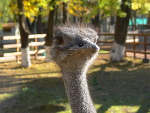 014.jpg (2262 просмотра) <a class='original' href='./download/file.php?id=21283&mode=view' target=_blank>Загрузить оригинал (84.73 КБ)</a>