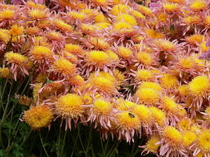 022.jpg (2261 просмотр) <a class='original' href='./download/file.php?id=21289&mode=view' target=_blank>Загрузить оригинал (136.04 КБ)</a>