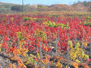 051.jpg (2249 просмотров) <a class='original' href='./download/file.php?id=21313&mode=view' target=_blank>Загрузить оригинал (119.08 КБ)</a>