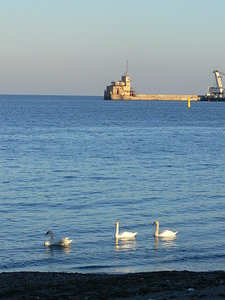 054.jpg (2249 просмотров) <a class='original' href='./download/file.php?id=21316&mode=view' target=_blank>Загрузить оригинал (75.97 КБ)</a>