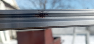 Снимок экрана от 2025-03-22 08-38-09.png (268 просмотров) <a class='original' href='./download/file.php?id=213700&mode=view' target=_blank>Загрузить оригинал (529.98 КБ)</a>