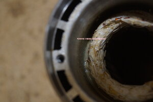 DSC02140.JPG (53 просмотра) <a class='original' href='./download/file.php?id=213955&mode=view' target=_blank>Загрузить оригинал (3.53 МБ)</a>