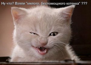 1.jpg (2059 просмотров) <a class='original' href='./download/file.php?id=21485&mode=view' target=_blank>Загрузить оригинал (69.38 КБ)</a>