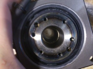 DSC_2405.jpg (2297 просмотров) <a class='original' href='./download/file.php?id=21797&mode=view' target=_blank>Загрузить оригинал (2.16 МБ)</a>