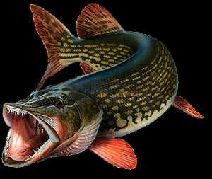 оригинал.jpg (2241 просмотр) <a class='original' href='./download/file.php?id=21893&mode=view' target=_blank>Загрузить оригинал (67.68 КБ)</a>