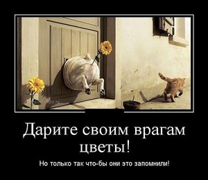 12.jpg (2360 просмотров) <a class='original' href='./download/file.php?id=21967&mode=view' target=_blank>Загрузить оригинал (64.3 КБ)</a>