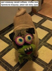 Пес-песочница-780532.jpeg (2229 просмотров) <a class='original' href='./download/file.php?id=22065&mode=view' target=_blank>Загрузить оригинал (90.7 КБ)</a>