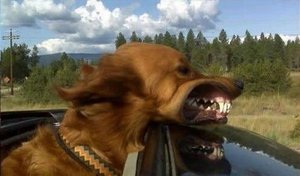 lada-auto2.jpeg (2752 просмотра) <a class='original' href='./download/file.php?id=22681&mode=view' target=_blank>Загрузить оригинал (38.41 КБ)</a>