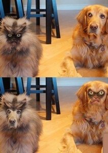 ---.jpg (2526 просмотров) <a class='original' href='./download/file.php?id=22902&mode=view' target=_blank>Загрузить оригинал (64.72 КБ)</a>