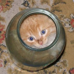 4.jpg (2576 просмотров) <a class='original' href='./download/file.php?id=23252&mode=view' target=_blank>Загрузить оригинал (42.41 КБ)</a>