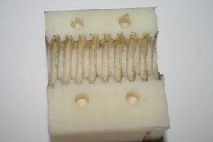 IMG_0821.JPG (2885 просмотров) <a class='original' href='./download/file.php?id=23681&mode=view' target=_blank>Загрузить оригинал (179.1 КБ)</a>