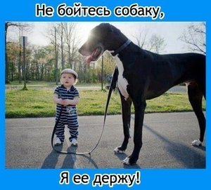 2.JPG (2968 просмотров) <a class='original' href='./download/file.php?id=23919&mode=view' target=_blank>Загрузить оригинал (57.11 КБ)</a>