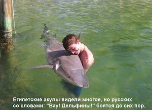 JjdajsZrZCk.jpg (2968 просмотров) <a class='original' href='./download/file.php?id=23920&mode=view' target=_blank>Загрузить оригинал (62.07 КБ)</a>