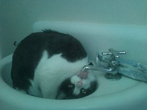 getImage (1).jpg (2876 просмотров) <a class='original' href='./download/file.php?id=24252&mode=view' target=_blank>Загрузить оригинал (25.73 КБ)</a>