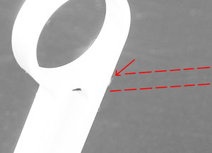 podderjka.jpg (2887 просмотров) <a class='original' href='./download/file.php?id=25106&mode=view' target=_blank>Загрузить оригинал (121.89 КБ)</a>