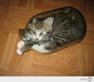 21dcf9cebd804e2c24165f276b2bd733.jpg (2071 просмотр) <a class='original' href='./download/file.php?id=25117&mode=view' target=_blank>Загрузить оригинал (26.12 КБ)</a>