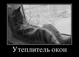 038.jpg (2071 просмотр) <a class='original' href='./download/file.php?id=25118&mode=view' target=_blank>Загрузить оригинал (50.34 КБ)</a>